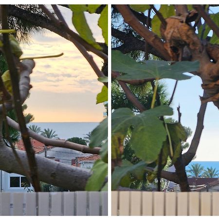 Detente Oceane S2 Proche De La Mer Wifi Clim 滨海卡涅 外观 照片