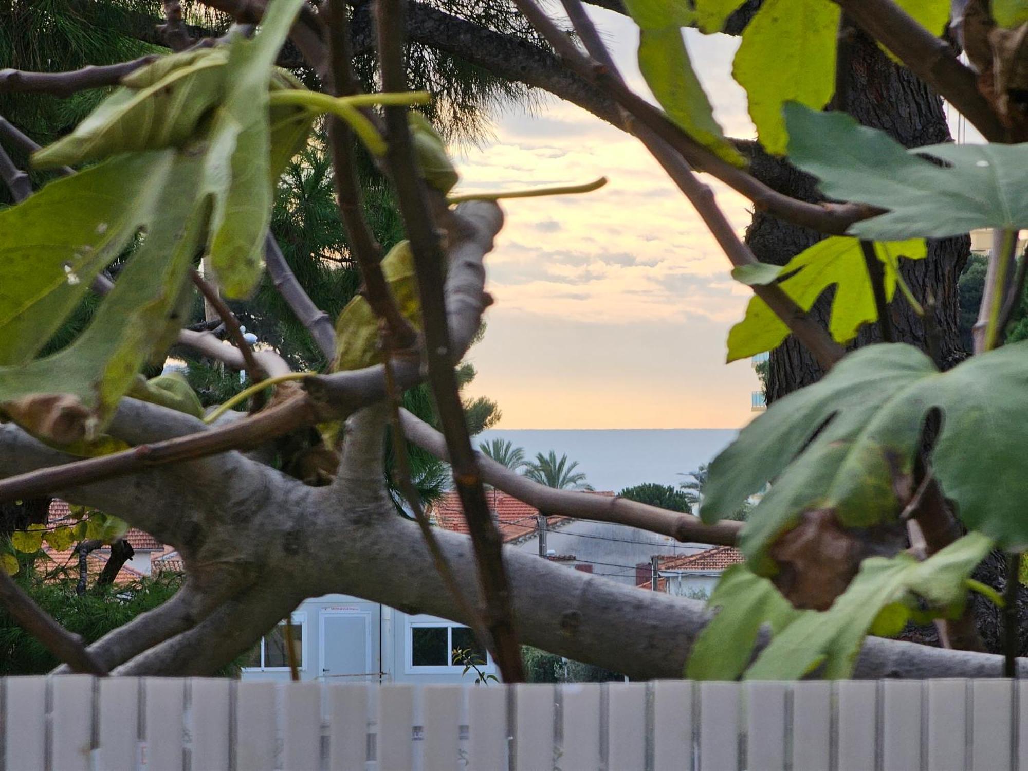 Detente Oceane S2 Proche De La Mer Wifi Clim 滨海卡涅 外观 照片